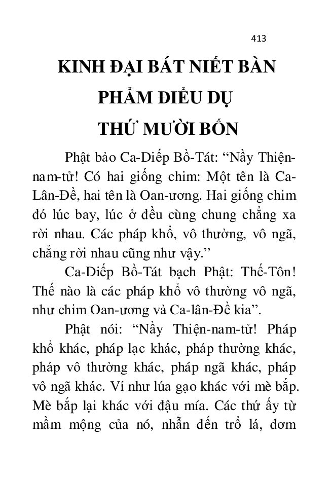 Bìa Kinh Đại Bát Niết Bàn - Phẩm 14